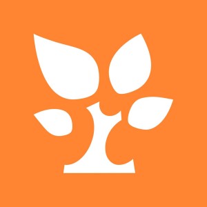 金数据 问卷调查