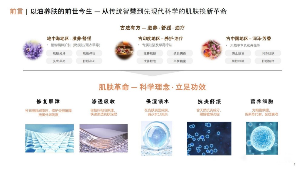 2025以油养肤-诠释治愈焕颜之旅报告