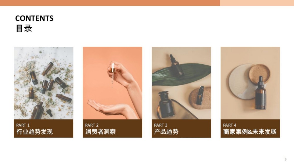 2025以油养肤-诠释治愈焕颜之旅报告