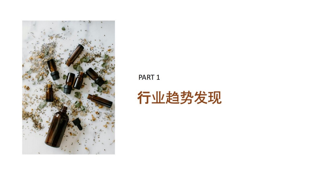 2025以油养肤-诠释治愈焕颜之旅报告