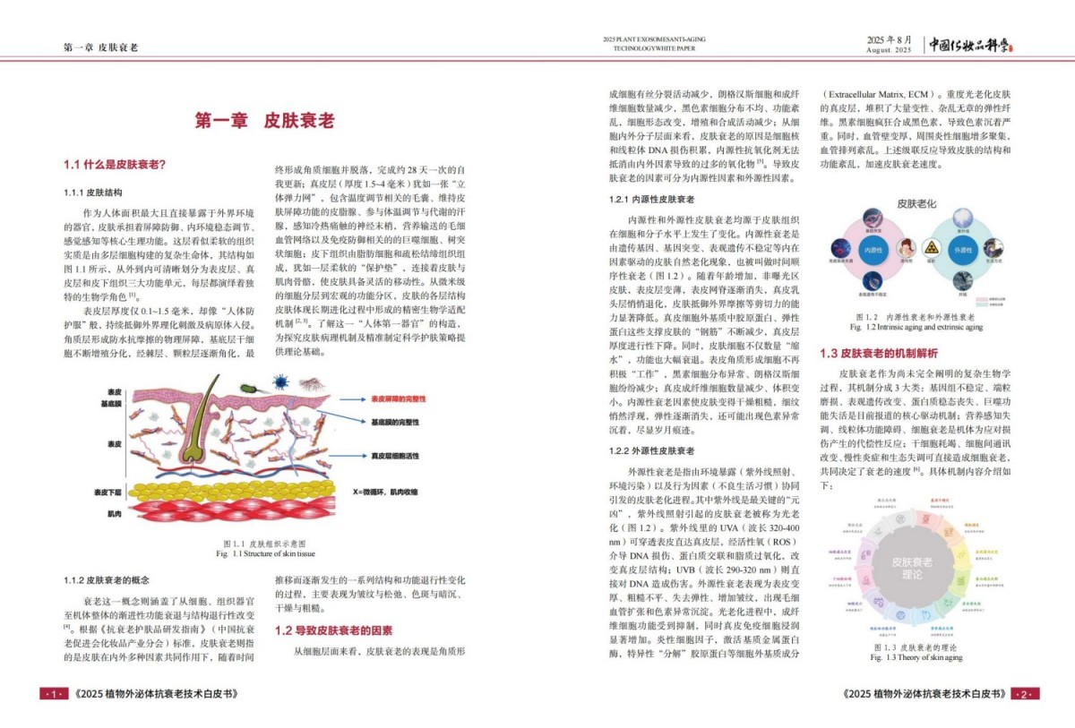 2025植物外泌体抗衰老技术白皮书报告