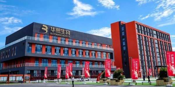 妆榜日报 | 多家企业披露三季报，毛戈平夫妇登胡润榜，淘宝双 11 全球同步启幕