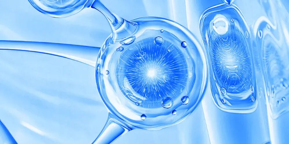 妆榜日报：国货原料创新突破，美妆行业业绩分化显著。