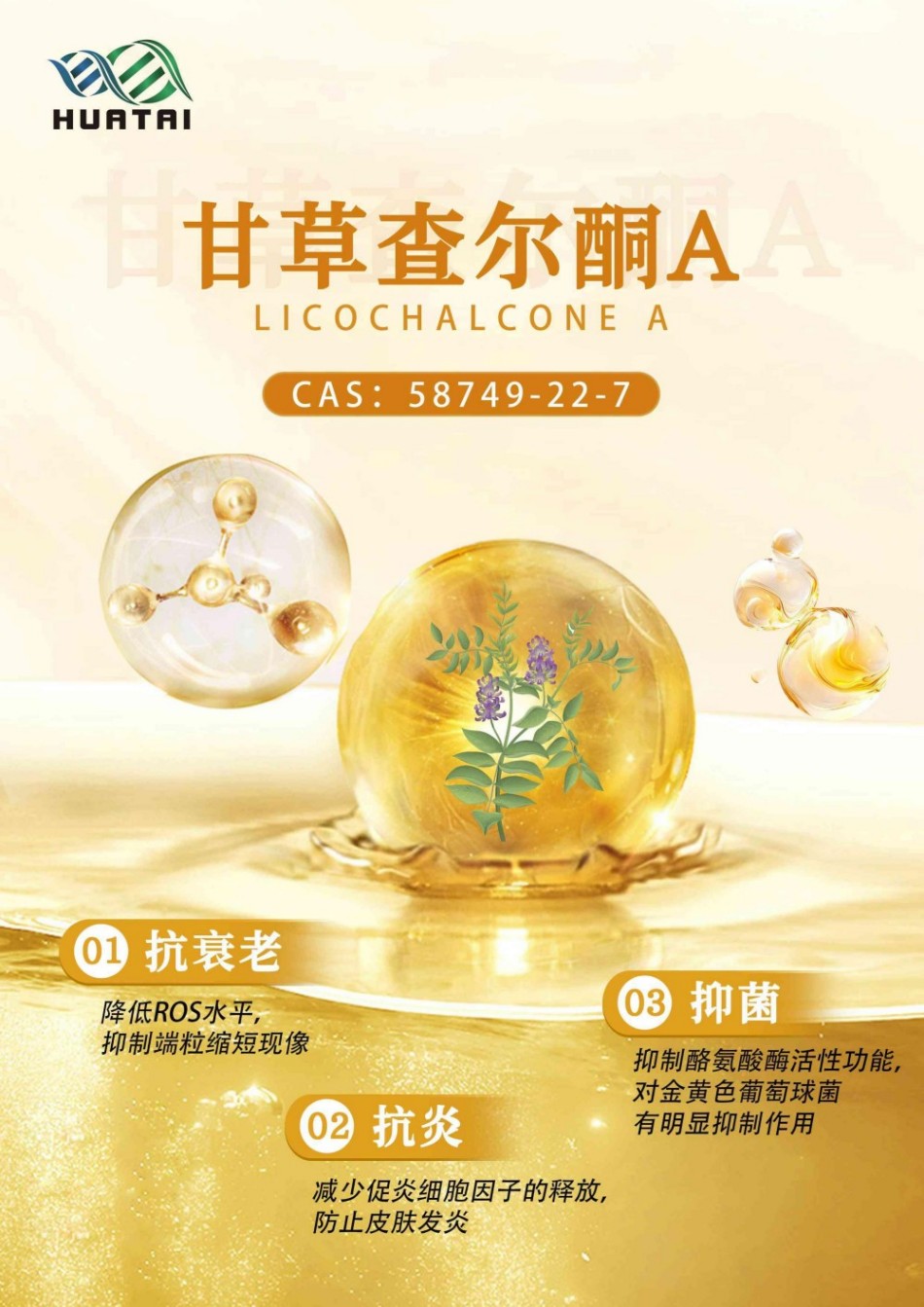 陕西华泰生物产品册