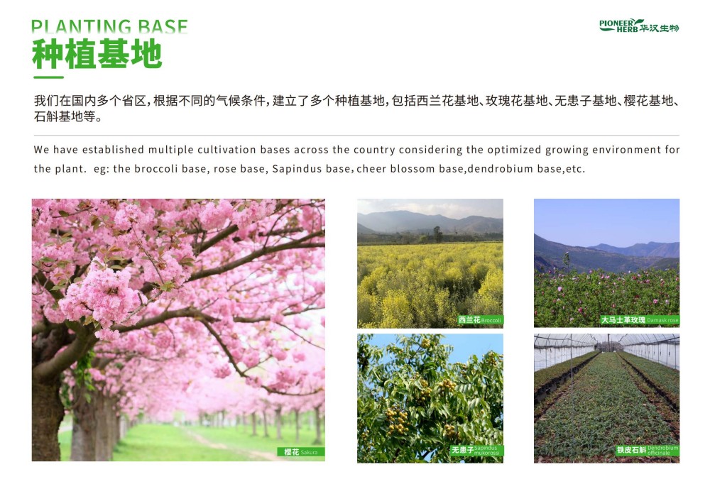 华汉生物-2025化妆品电子版目录