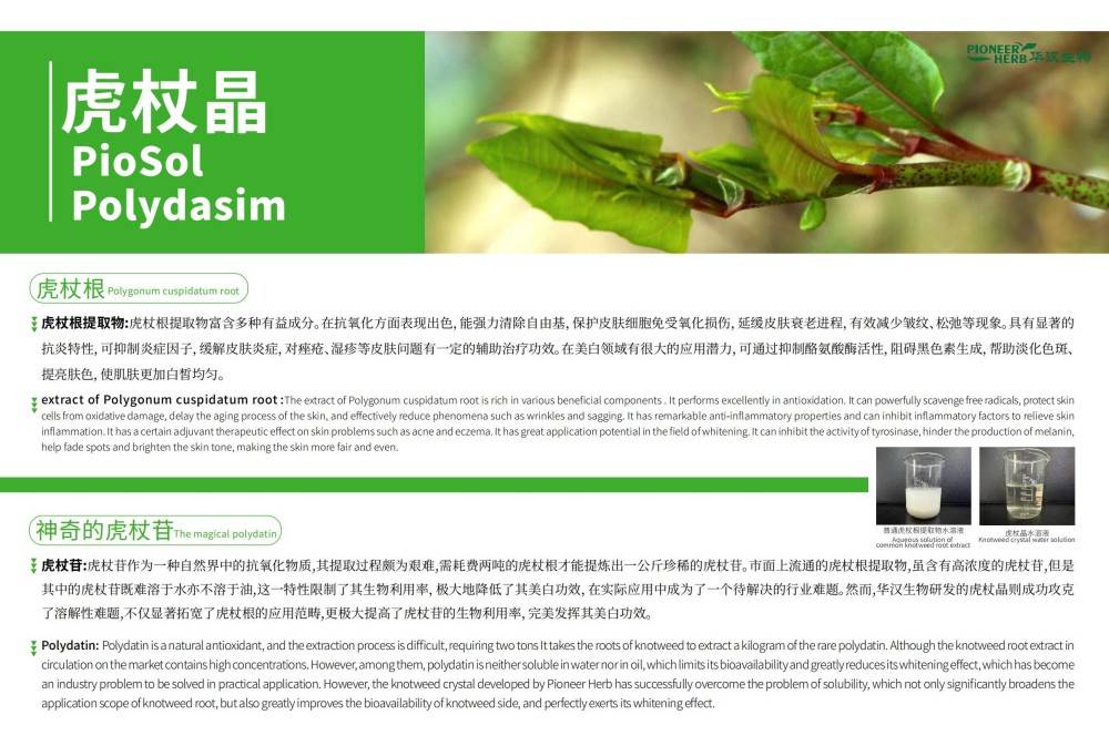 华汉生物-2025化妆品电子版目录