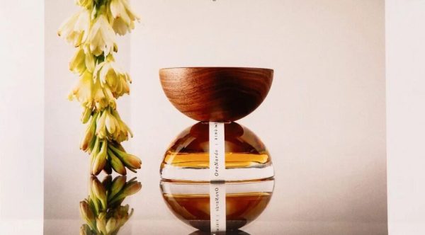 雅诗兰黛投资新锐香水品牌XINÚ