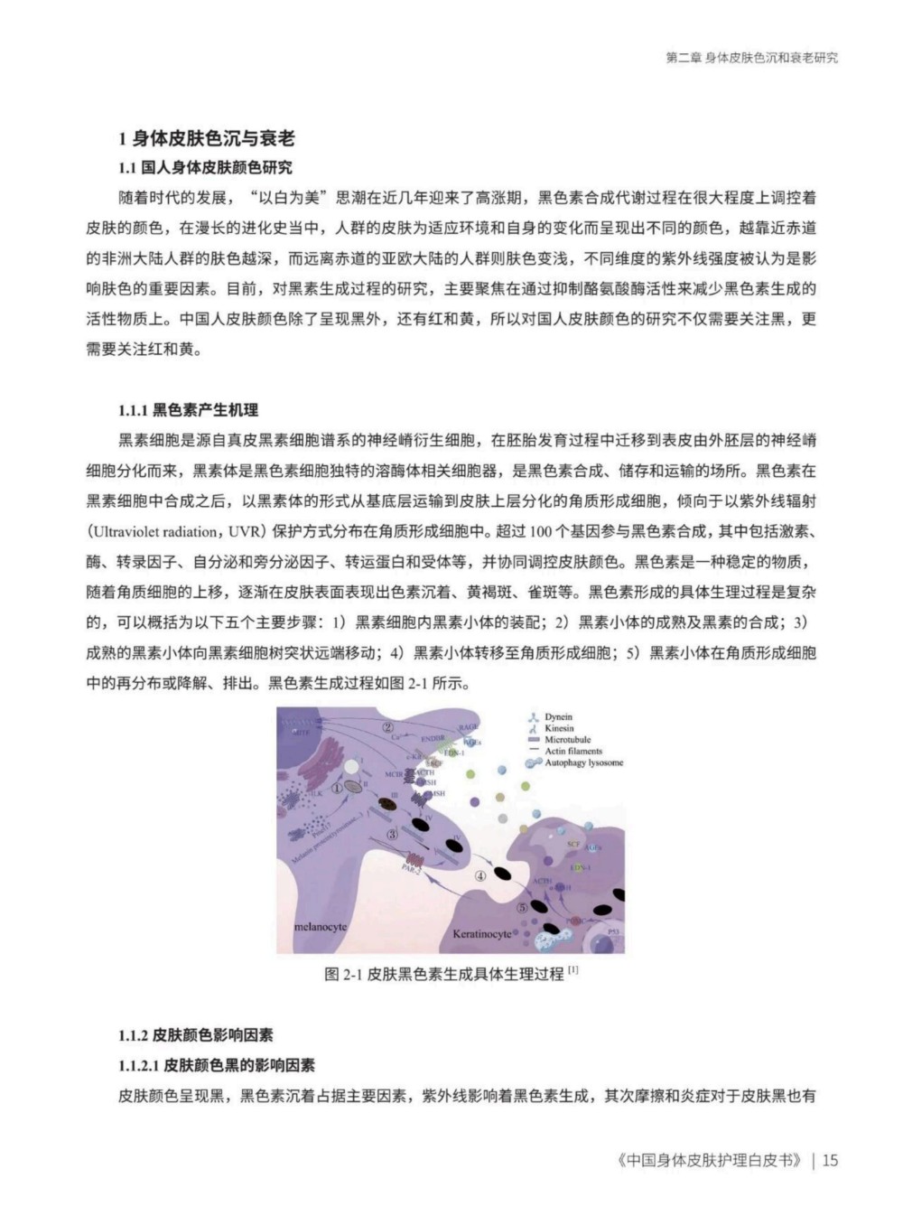 2025中国身体皮肤护理白皮书