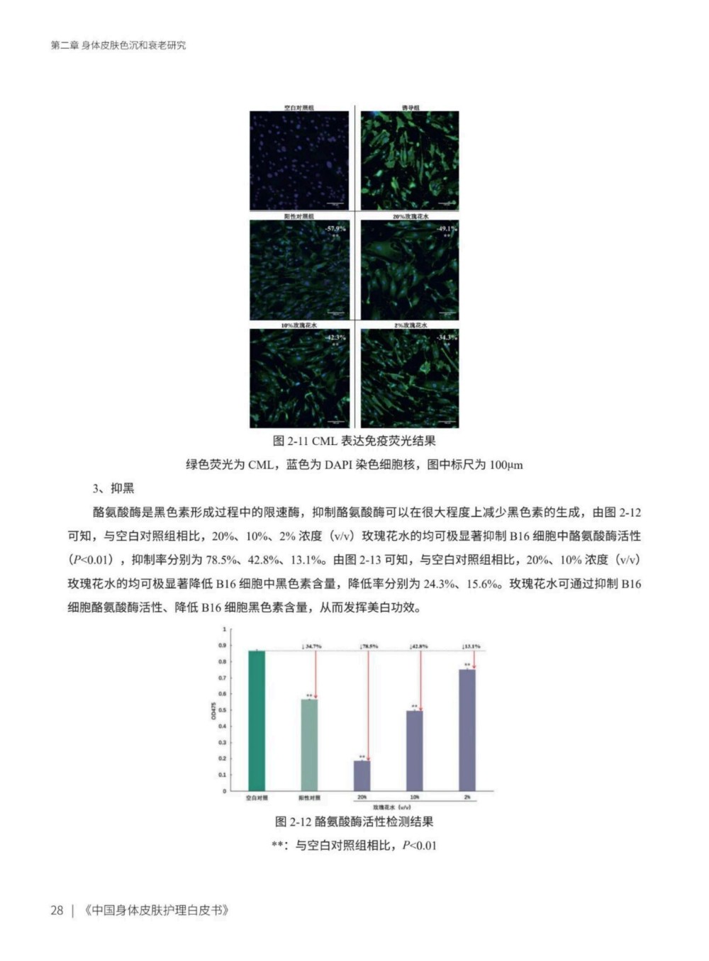 2025中国身体皮肤护理白皮书