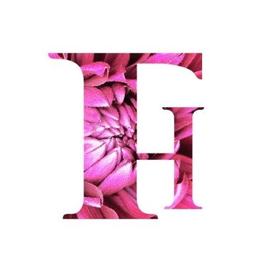 广州芬豪香精有限公司