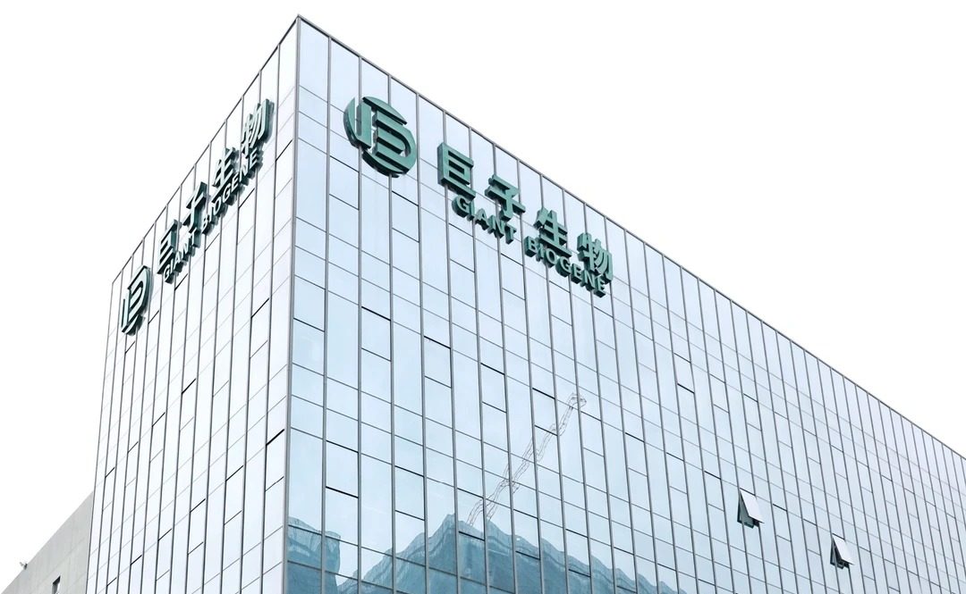 巨子生物历年年度财报