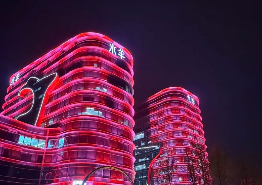 水羊集团历年年度财报