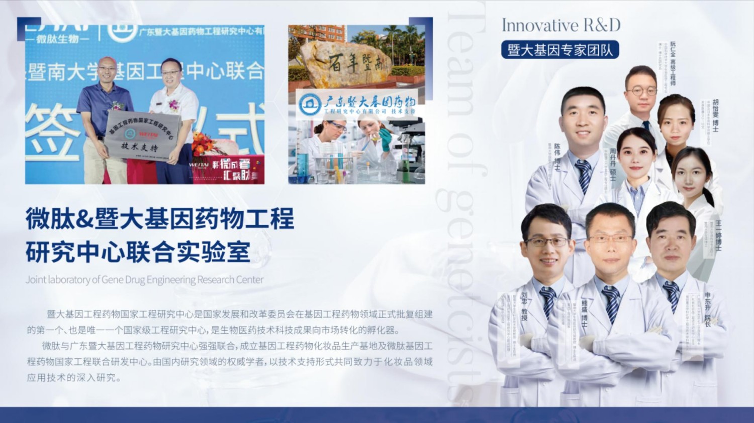 微肽集团企业介绍