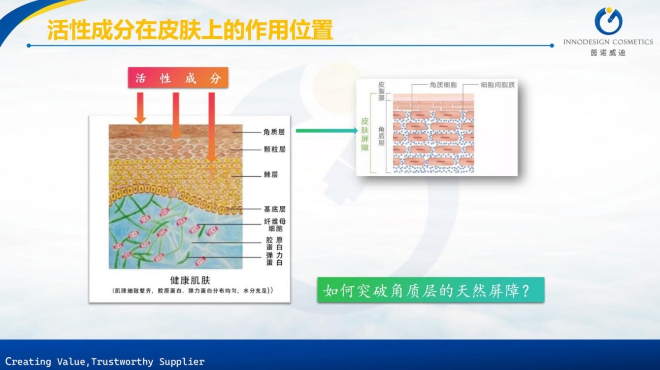 原料包裹项目合集上海茵诺威迪
