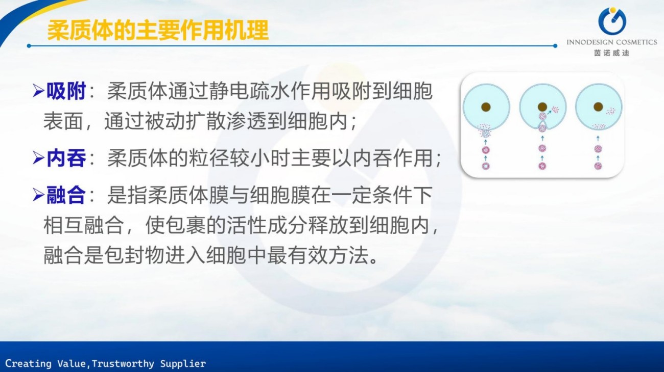 原料包裹项目合集上海茵诺威迪