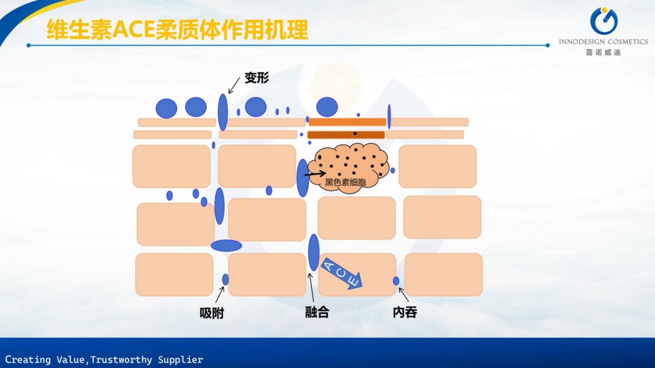 原料包裹项目合集上海茵诺威迪