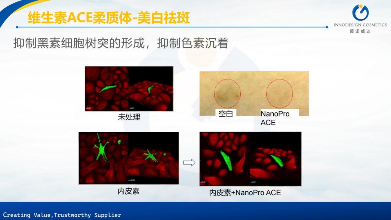 原料包裹项目合集上海茵诺威迪