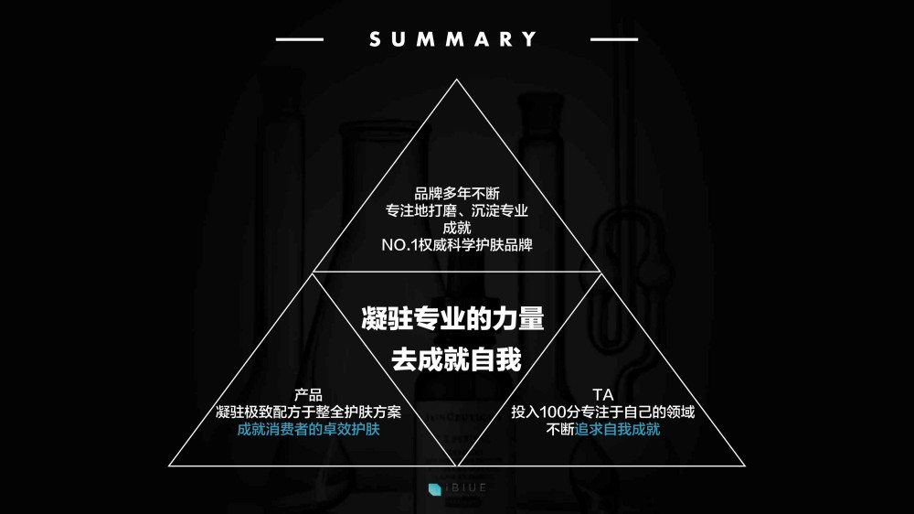 2025修丽可双11品牌活动整合营销报告