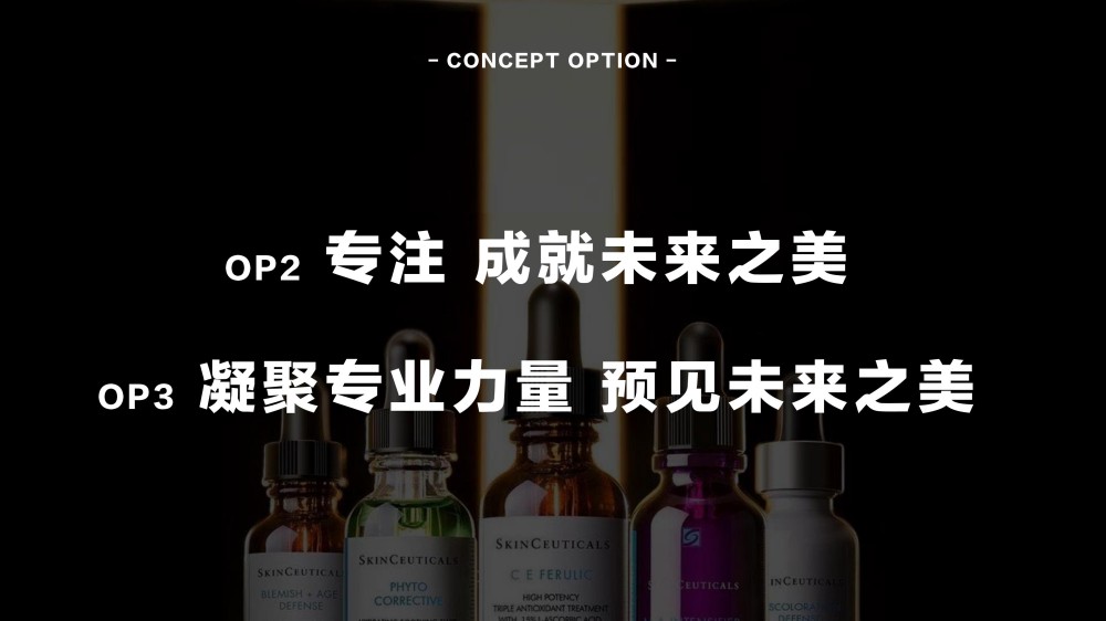 2025修丽可双11品牌活动整合营销报告