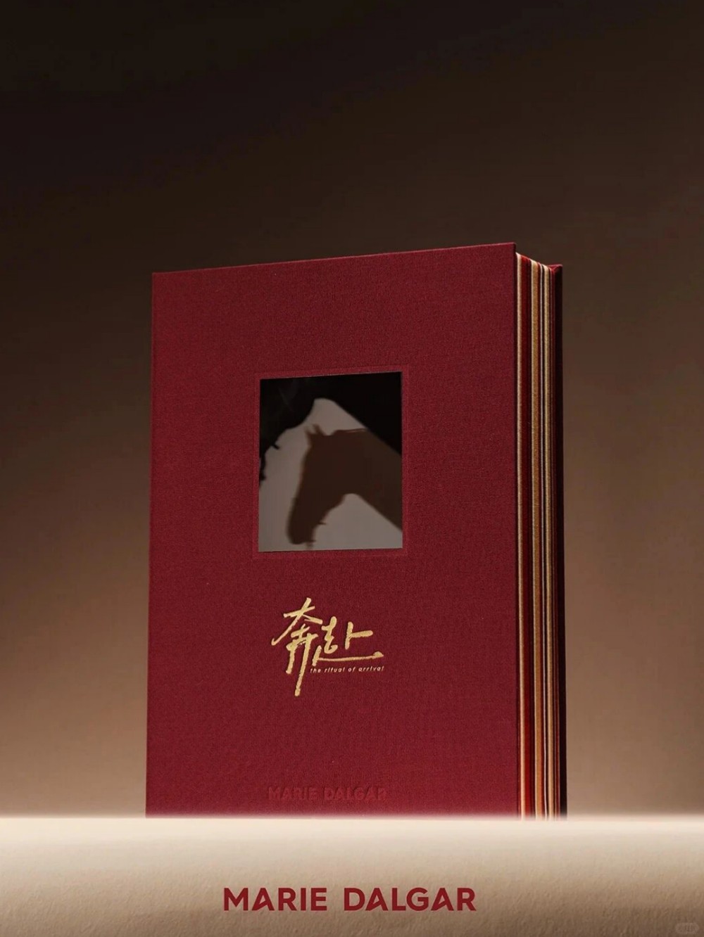  MARIE DALGAR玛丽黛佳奔赴限定系列 新品上市