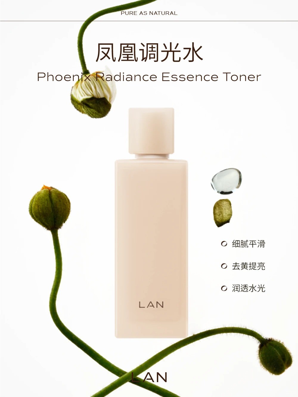 LAN 兰凤凰透亮系列新品上市