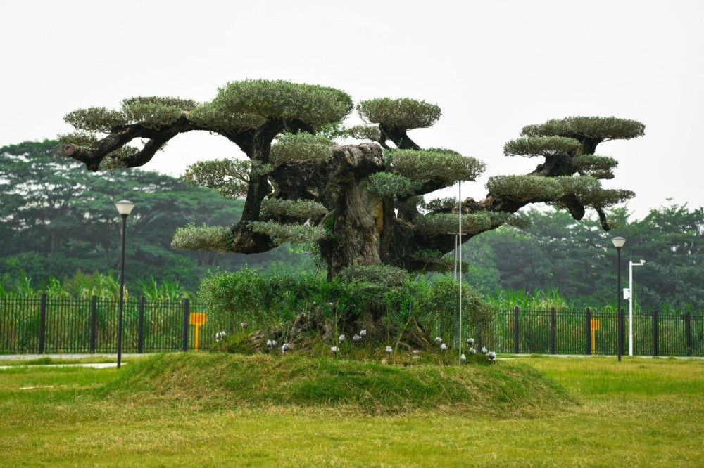 贝豪情报局丨佛山美妆全省第二！这家美妆界的“隐形冠军”凭什么能与美的、华为同台参会？