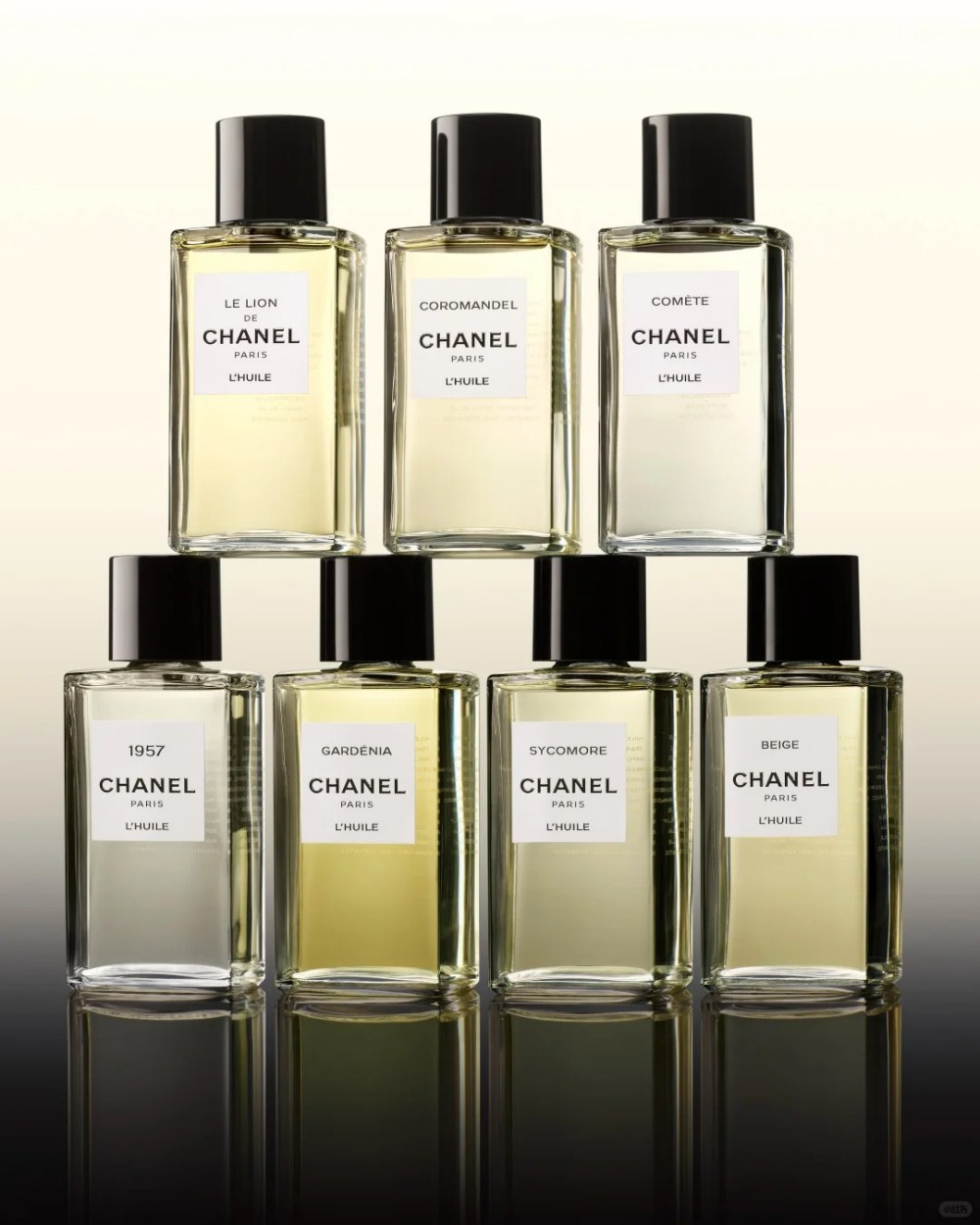 香奈儿狮子延香精华油重磅登场