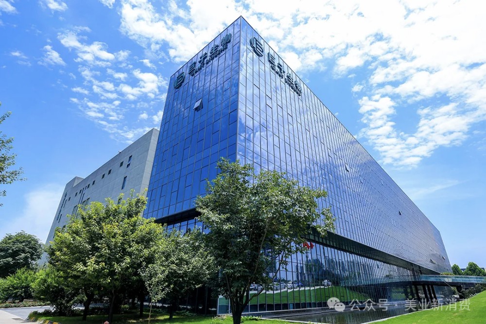 这8家头部企业，撑起中国美妆的半边天