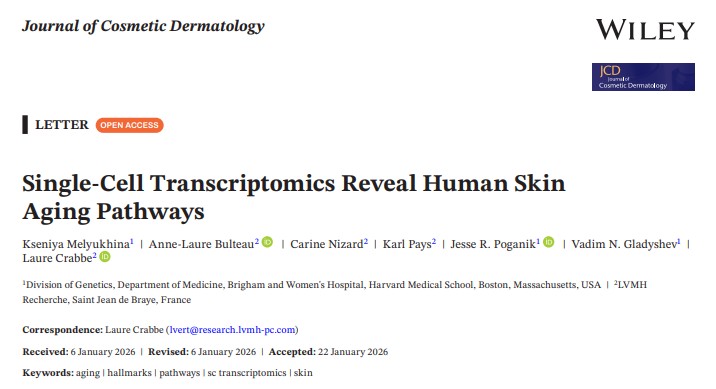 ECM风暴：会成护肤界下一个风口吗？