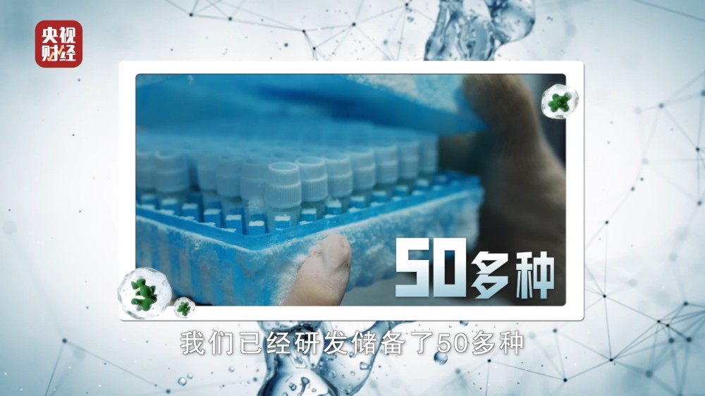 巨子生物重组胶原蛋白技术获央视重磅聚焦