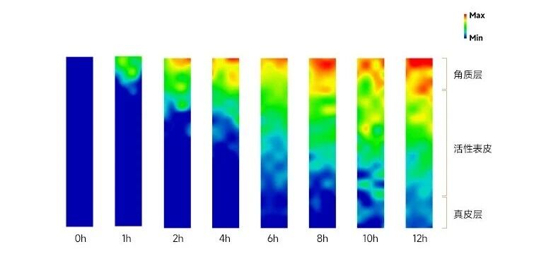 靶向给药技术入妆！可复美打响次抛效率革命
