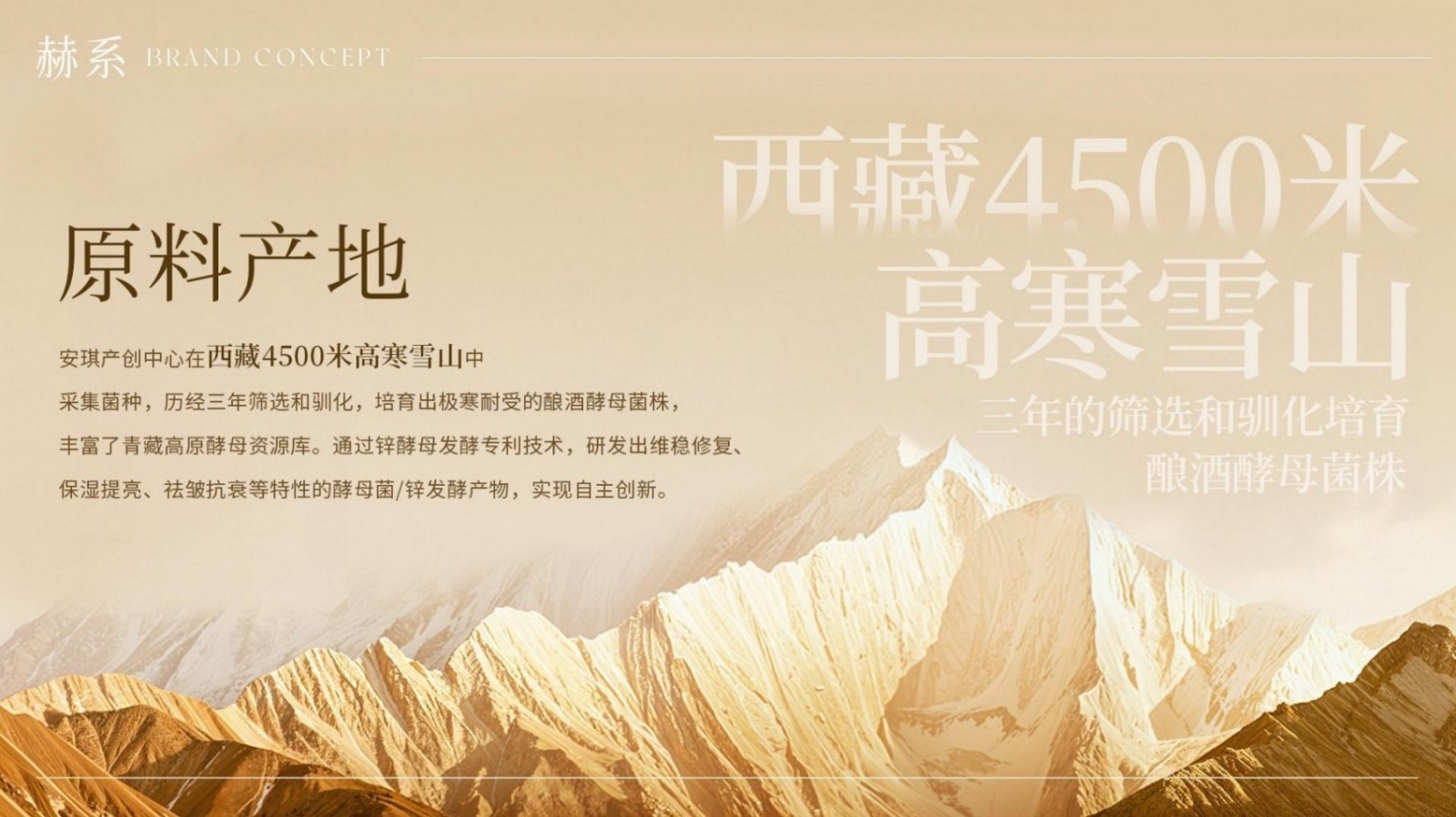 赫系