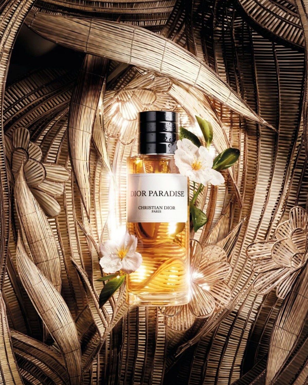 Dior 新香 Dior Paradise 新品上市