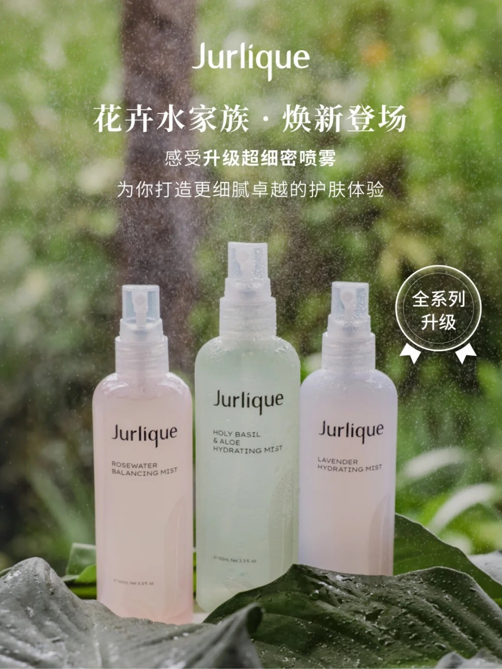 茱莉蔻经典花卉水系列新品上市
