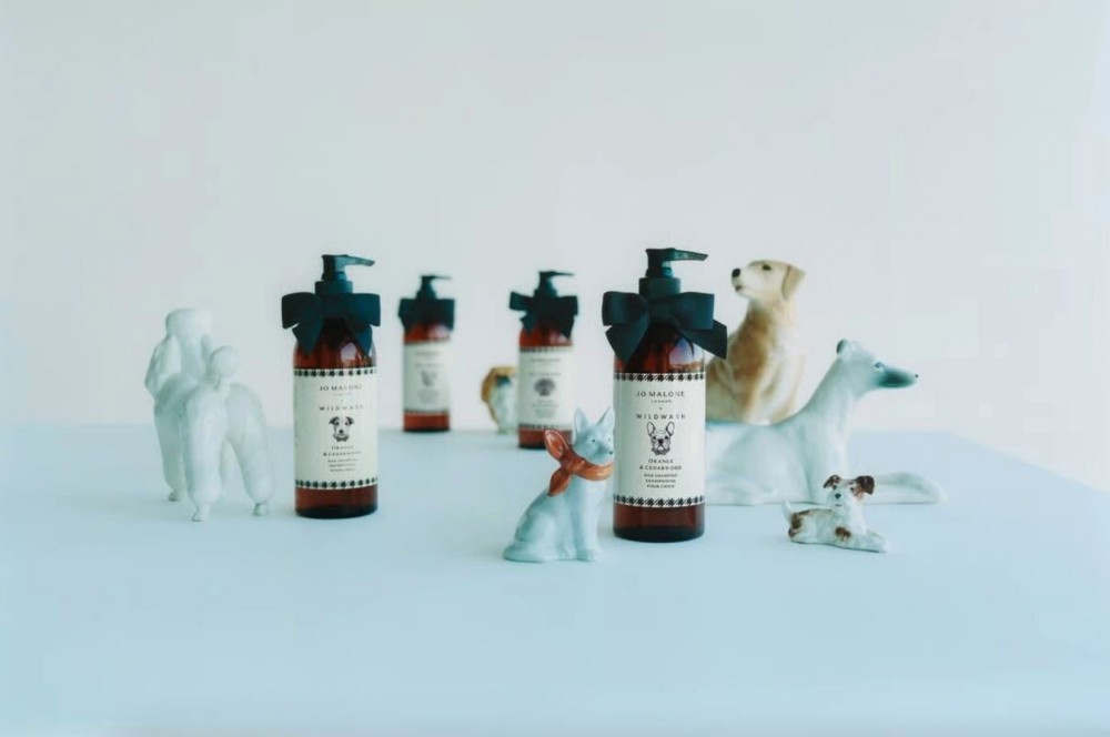 Jo Malone宠物犬洗护香波 新品上市