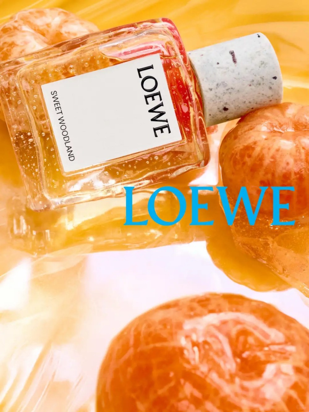 Loewe Crafted系列秋季新香 新品上市